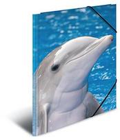 Laikiklis Herma Folder Sammelmappe A3 Delfin Polipropilenas