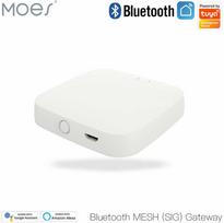 Moes Išmanių namų Bluetooth - Wi-Fi signalo stotelė, BRIDGE, MESH, TUYA / Smart Life