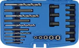 Bgs Technic Varžtų išsukėjų rinkinys HSS | 25 vnt. (8462)