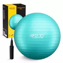 Gimnastikos kamuolys 4FIZJO Reh Ball 75 cm su pompa, mėtų
