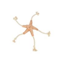 1.8_36046 TRIXIE BE NORDIC Jūrų žvaigždė Jane, pliušas/virvė, 32 cm (pak.2)