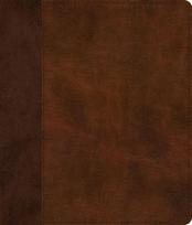 ESV Journaling Bible, Red Letter (Trutone, Brown/Tan, Timeless Design)
