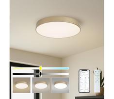 BRILAGI-LED Dimeriuojamas šviestuvas POOL SMART LED/60W/230V 50 cm Wi-Fi Tuya auksinis + nuotolinis pultas