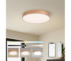 BRILAGI-LED dimeriuojamas šviestuvas POOL SMART LED/60W/230V 50 cm Wi-Fi Tuya bronzinis + nuotolinis pultas