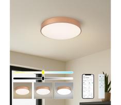 BRILAGI-LED reguliuojamas šviestuvas POOL SMART LED/48W/230V 40 cm Wi‑Fi Tuya, bronzinis + nuotolinio valdymo pultas