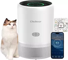 Chuboor oro valytuvas su HEPA filtru, 185 m³/h CADR, iki 110 m², PJ08
