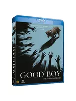 ANGEL GERAS BERNIUKAS - (Blu-Ray)