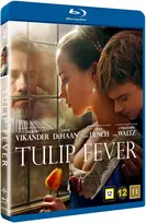 Tulip Tulpių karštligė