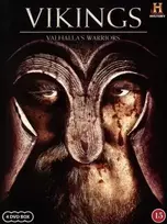 Meru Networks VIKINGŲ VALHALOS KARIAI (4 DVD RINKINYS)