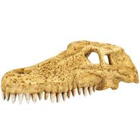 Dekoracija akvariumui ar terariumui Repti-Zoo Crocodile Skull M, krokodilo kaukolė