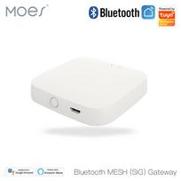 Išmanių namų Bluetooth - Wi-Fi signalo stotelė, BRIDGE, MESH, TUYA / Smart Life