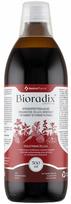 Geležies skystis su medumi XenicoPharma Bioradix 500 ml