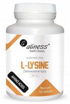 Maisto papildas ALINESS L-LYSINE 500mg, 100 kapsulių