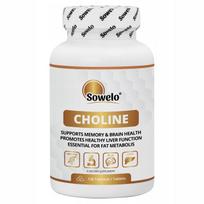 Maisto papildas Choline 500 mg 120 tablečių Sowelo