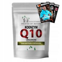Maisto papildas FOREST VITAMIN Coenzyme Q10 100mg, 250 kapsulių