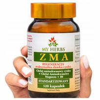Maisto papildas ZMA Magnesium + Zinc + Vitamin B6, 120 kaps.