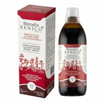 Maisto papildas Xenico Pharma su geležimi ir BIO medumi, 500 ml