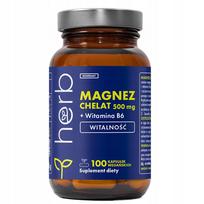 Maisto papildas MAGNESIUM CHELATE 500mg GLYCINATE + B6, 100 kapsulių
