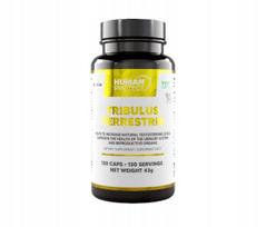 Maisto papildas Human Protect TRIBULUS TERRESTRIS 98% EARTH MACE TESTO BOOSTER 120k