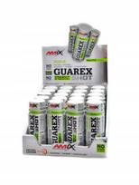 Energijos gėrimas Amix Guarex Mental SHOT 20 x 60 ml Mojito