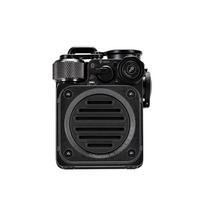Elvis Radio Wild Mini Waterproof Portable Bluetooth Speaker CN plug (adapter included) (CN version)