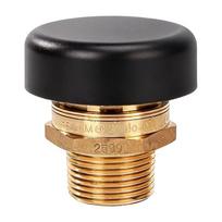 Automatiniai oro nuleidimo vakuuminiai vožtuvai Variniai vakuuminio slėgio mažinimo vožtuvai 3/4'' jungtys garo ir vandens sistemoms 1