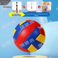 Wolf Flame Soft Volleyball for Middle School Students blue