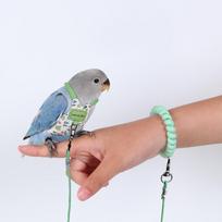 Itin lengvas poliesterio papūgos skraidymo kostiumas su apsauga nuo pametimo pavadėliu, naminio paukščio pakinktai, visų sezonų lauko skraidymo treniruotėms (Blue,3m traction rope flight suit-green) mėlyna