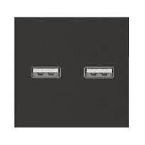 Dvigubas USB lizdas (juodos spalvos, su įkrovimu)