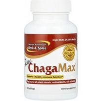 North American Herb & Spice, Raw ChagaMax™, 90 vegetariškų kapsulių