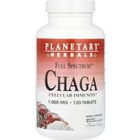 Planetary Herbals, Viso spektro™ Chaga, 120 tablečių