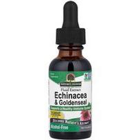 Nature's Answer, Ežiuolės ir auksažolės, be alkoholio, 30 ml