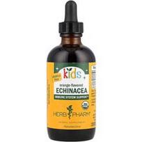 Herb Pharm, Vaikams skirtas ežiuolės gėrimas, be alkoholio, apelsinų skonio, 120 ml