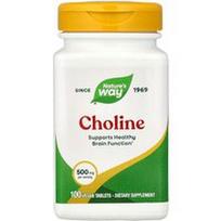 Nature's Way, Cholinas, 500 mg, 100 veganiškų tablečių