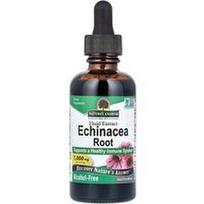 Nature's Answer, Ežiuolės šaknų skystasis ekstraktas, be alkoholio, 1000 mg, 60 ml (2 skysčio uncijos)