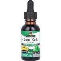 Nature's Answer, Gotu Kola ekstraktas, be alkoholio, 2000 mg, 30 ml (1 fl uncija)