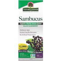 Nature's Answer, Sambucus, juodųjų šeivamedžių uogų, be alkoholio, 2500 mg, 120 ml (4 skysčio uncijos)