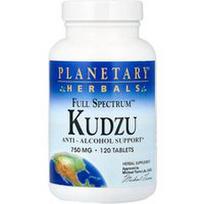 Planetary Herbals, „Full Spectrum™“ kudzu, 120 tablečių