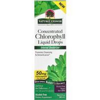 Nature's Answer, Koncentruoti chlorofilo skystieji lašai, be alkoholio, 60 ml (2 skysčio uncijos)