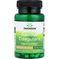 Swanson Vitamins, Bacillus Coagulans, 6 milijardai KFV, 60 veganiškų kapsulių