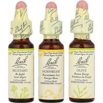 Bach, Originalūs žiedų preparatai, psichinės energijos rinkinys, emociniai pakilimai ir nuosmukiai, 3 lašintuvai po 10 ml (0,35 fl oz)