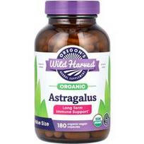 Oregon's Wild Harvest, Ekologiškas Astragalus, 180 ekologiškų veganiškų kapsulių (375 mg vienoje kapsulėje)
