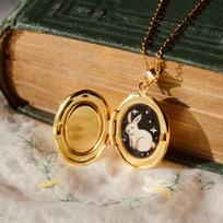 Retro Gold Starry Sky Jade Rabbit Lock Box Necklace Can Be Opened And Closed Niche Design Light Luxury Collarbone Chain brown