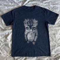 Sad Kitten Shirt, Meme Cats funny cat Graphic Tee Streetwear - Unisex Comfort Colors 4XL gray