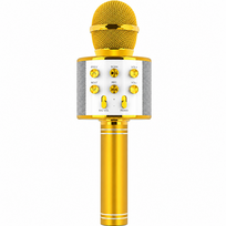 Belaidis karaokės mikrofonas vaikams, auksinės spalvos „Bluetooth“ karaokės mikrofonas, karaokės dainavimo mikrofonas