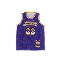 Nike Vaikų Krepšinio Marškinėliai NBA Jaunimo Retro Sportiniai Los Angeles Lakers LeBron 23 Violetiniai Vaikams Marškinėliai 3Z2B7BU4P-LAKJL XL blue