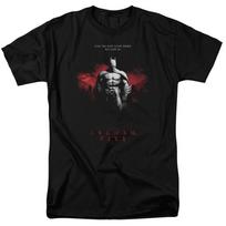 Batman Arkham City Standing Strong DC Comics Licensed Adult T-Shirt S black