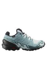 SALOMON Moteriški laisvalaikio batai, SPEEDCROSS 6 GTX W L47880100