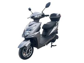 Elektrinis motoroleris Z1000 Li-ion, 20000 mAh, 1 kW, pilka sp.