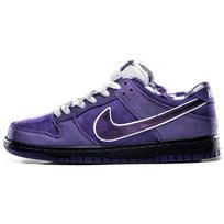 Nike x CONCEPTS Dunk SB Purple Lobster Vidutinio aukščio riedlenčių batai Unisex Violetinė Speciali dovanų dėžutė BV1310-555(S-BOX) 40